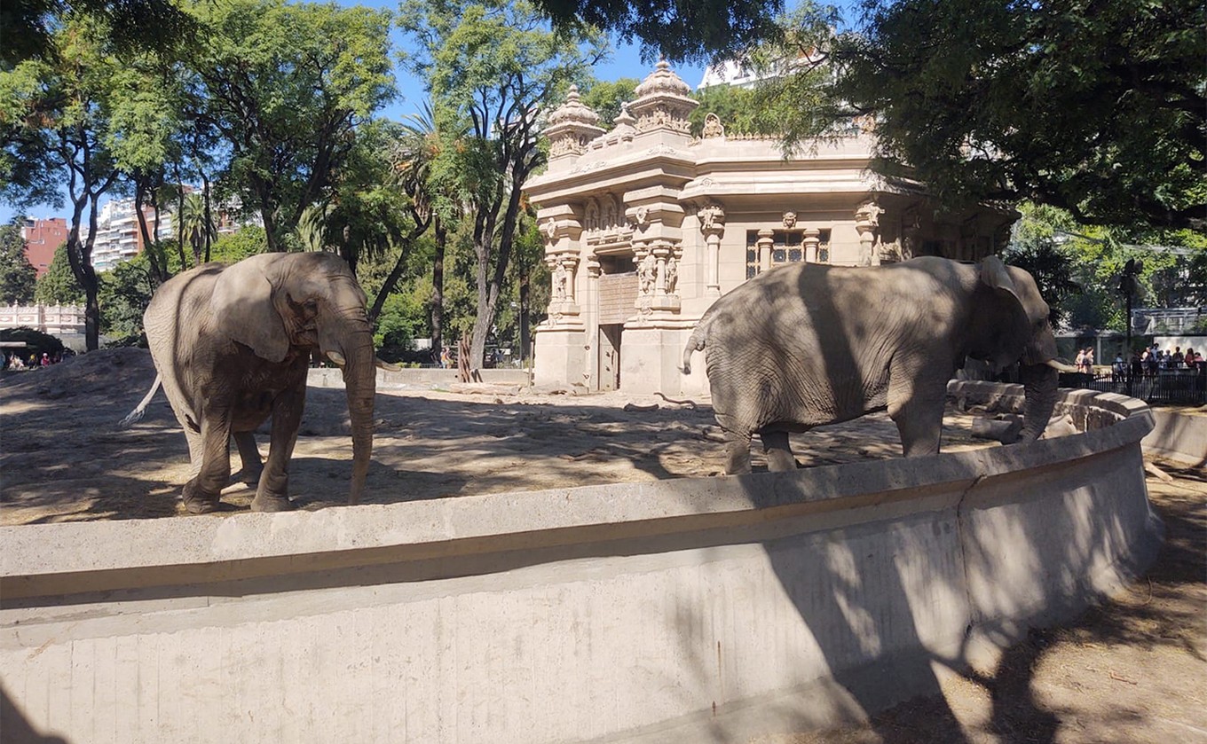 FOTO: Toda la biodiversidad en el Ecoparque de Buenos Aires: conservación y aprendizaje. 
