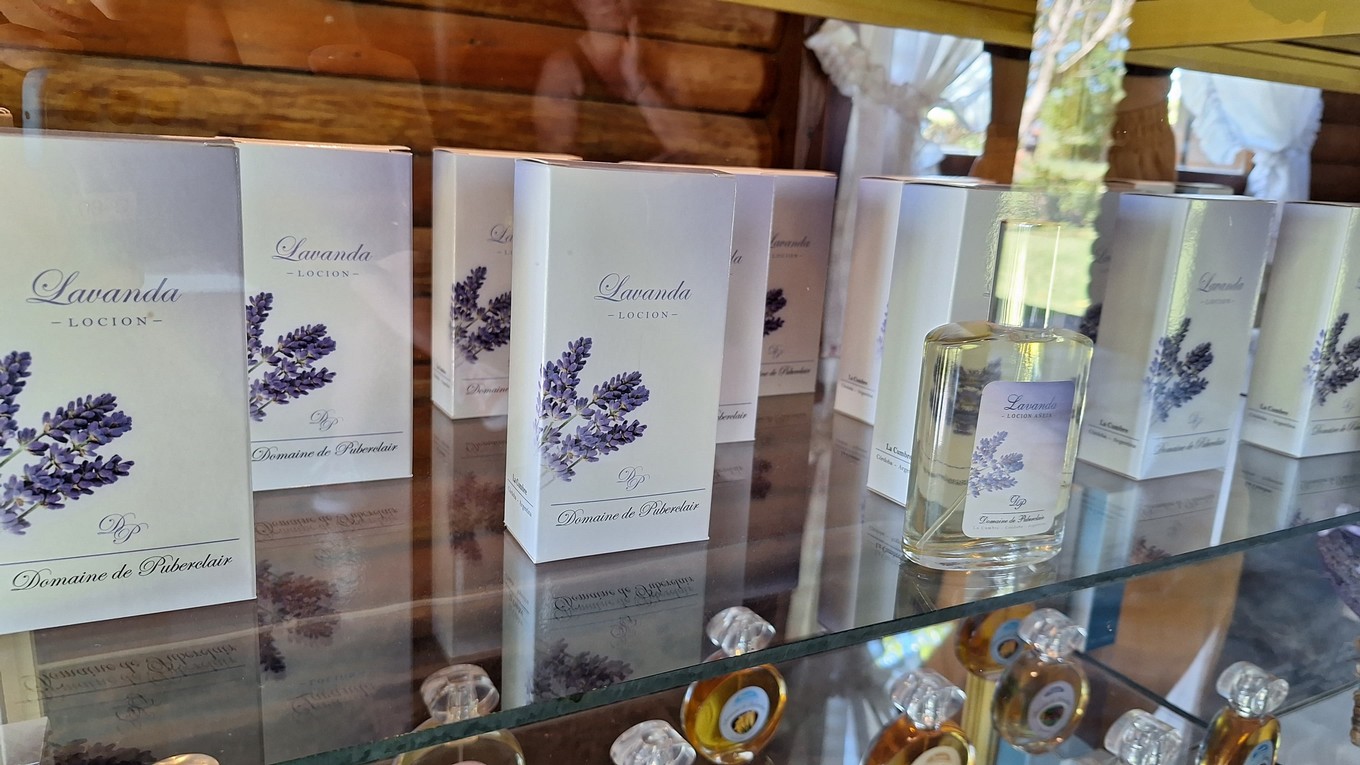 FOTO: La plantación de lavanda Domaine de Puberclair