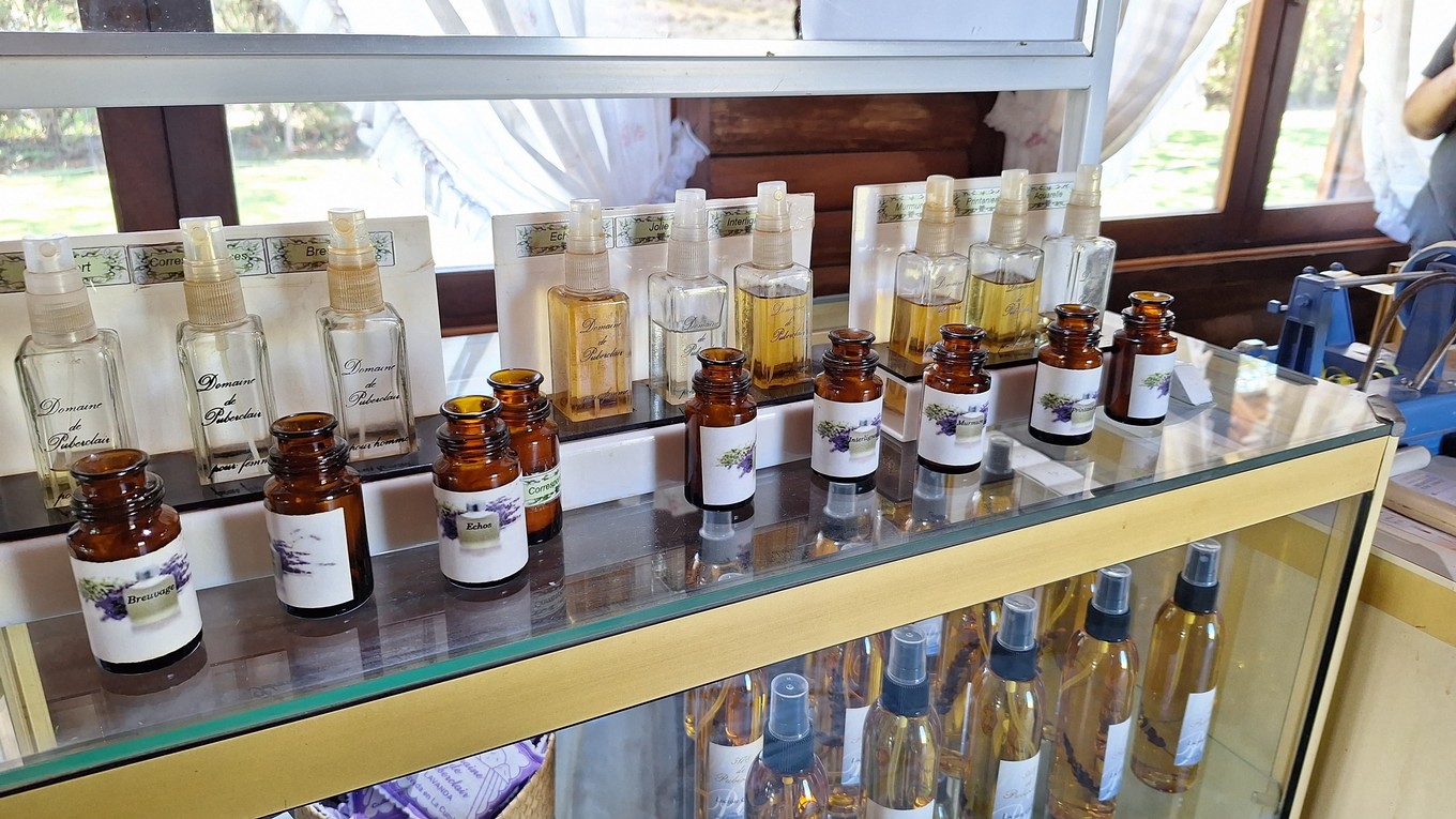 FOTO: La plantación de lavanda Domaine de Puberclair