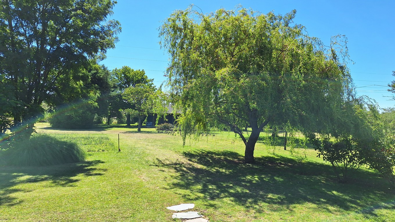 FOTO: La plantación de lavanda Domaine de Puberclair