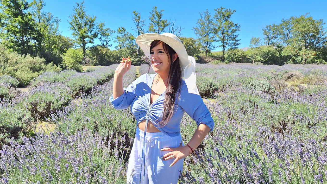 FOTO: La plantación de lavanda Domaine de Puberclair