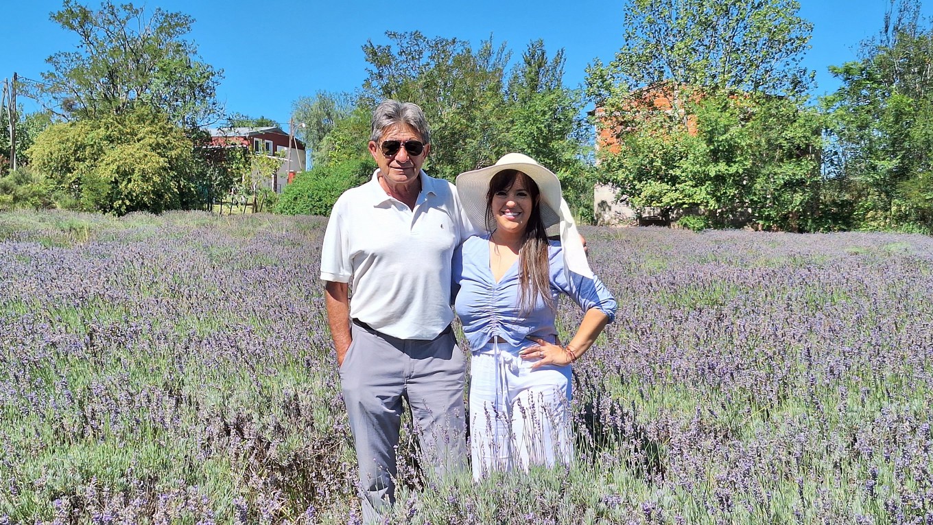 FOTO: La plantación de lavanda Domaine de Puberclair