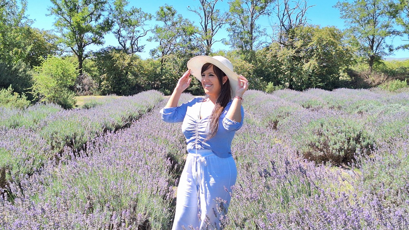 AUDIO: Ideal para un book de fotos: el campo de lavanda de La Cumbre
