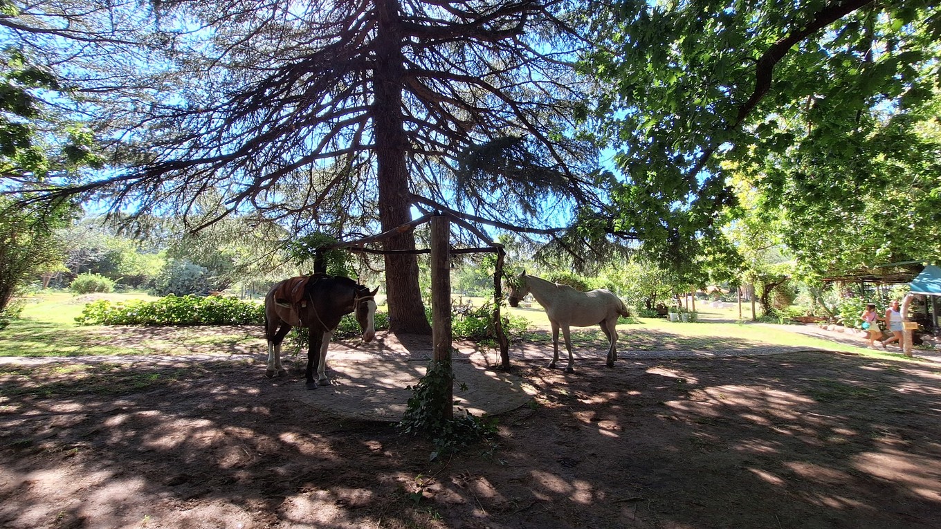 AUDIO: Posada el Pucará: un lugar para descansar y disfrutar al píe del Champaquí