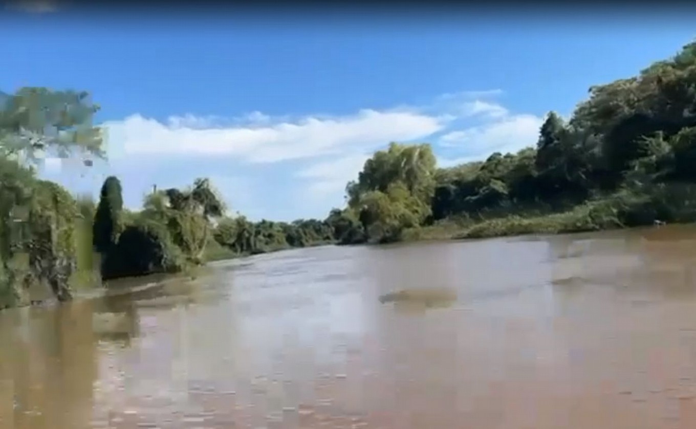 FOTO: Un paseo por Puerto Reconquista: maravillas autóctonas en 