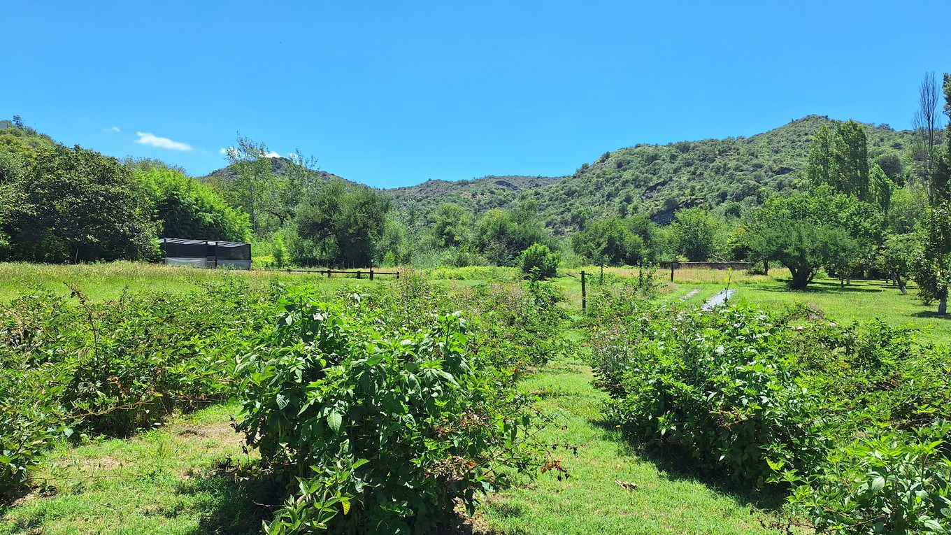 FOTO: Estancia Candonga, en El Manzano. (Foto: Cadena 3)
