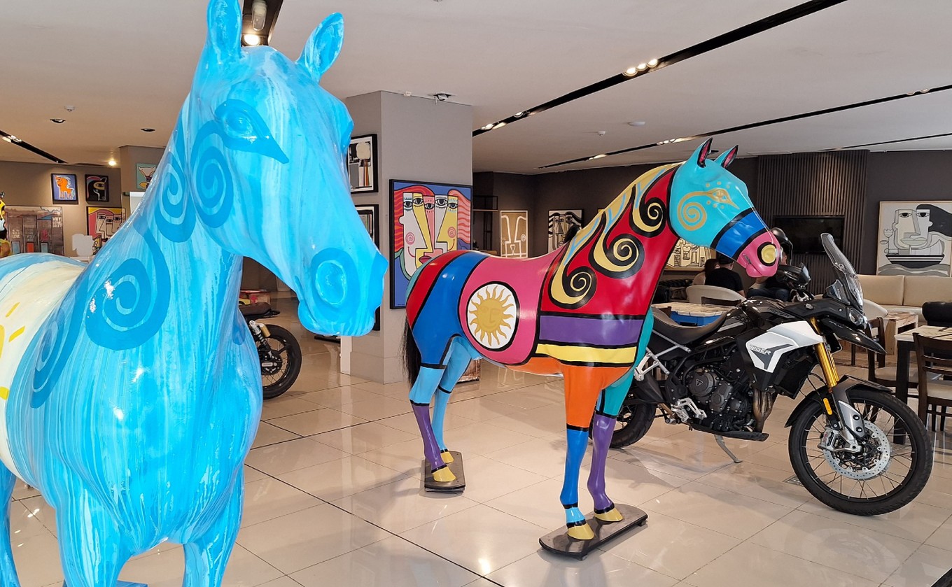 FOTO: La galería de arte de Mario Lange, un espacio cultural sublime en Carlos Paz.