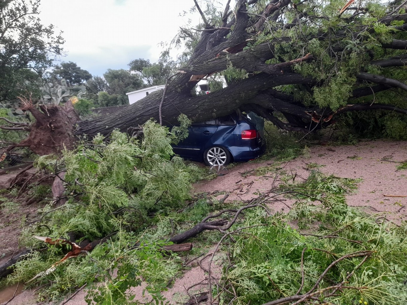 FOTO: Una fuerte tormenta con intensas ráfagas hizo destrozos en Sebastián Elcano.