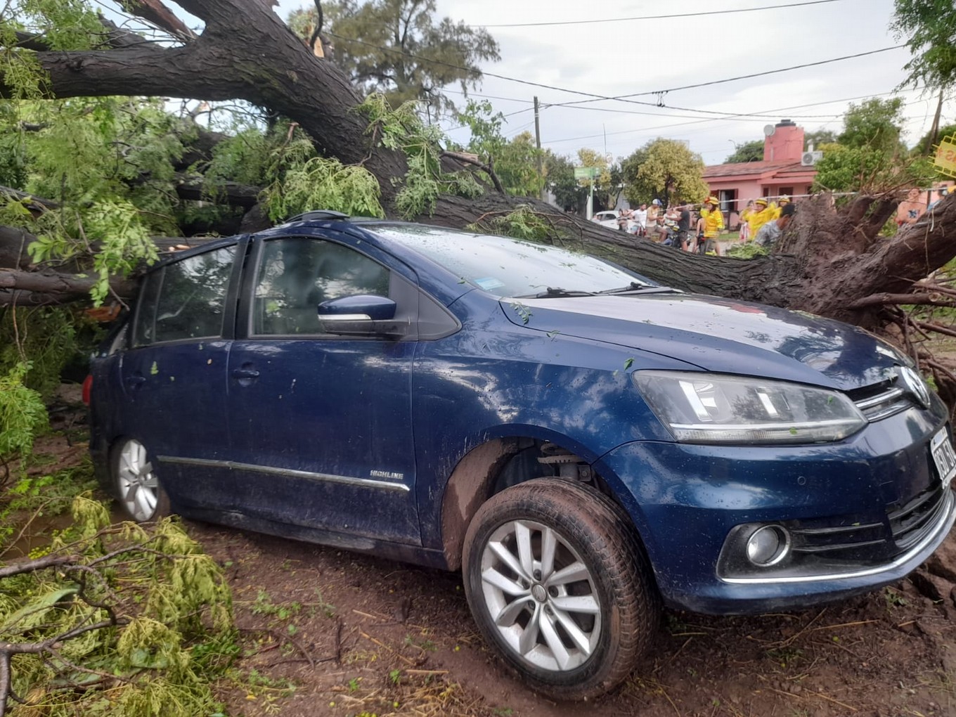 FOTO: Una fuerte tormenta con intensas ráfagas hizo destrozos en Sebastián Elcano.