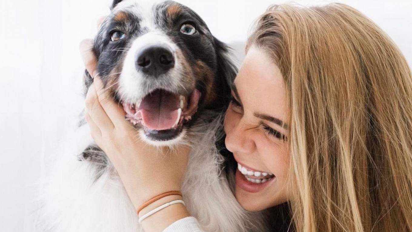 FOTO: La increíble labor de un perro de asistencia hacia su dueña con epilepsia