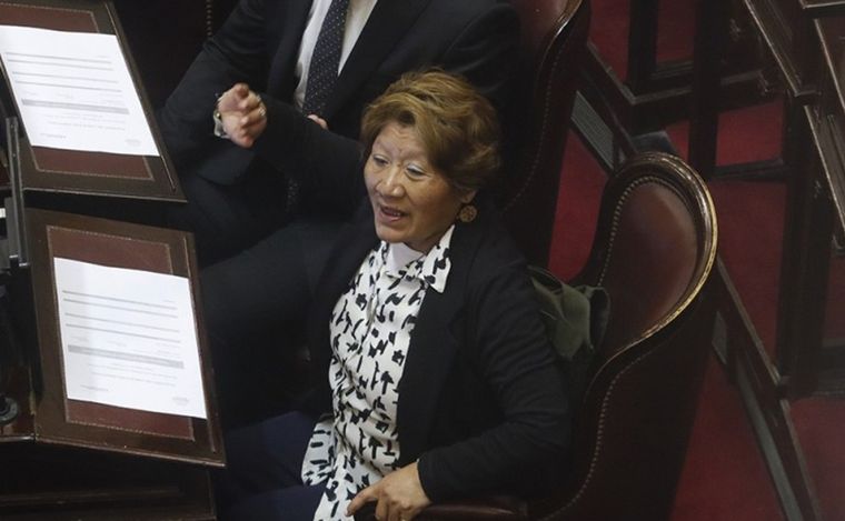 Una Senadora Libertaria Contrató A Toda Su Familia Para Trabajar En El Senado Ahora País 3886