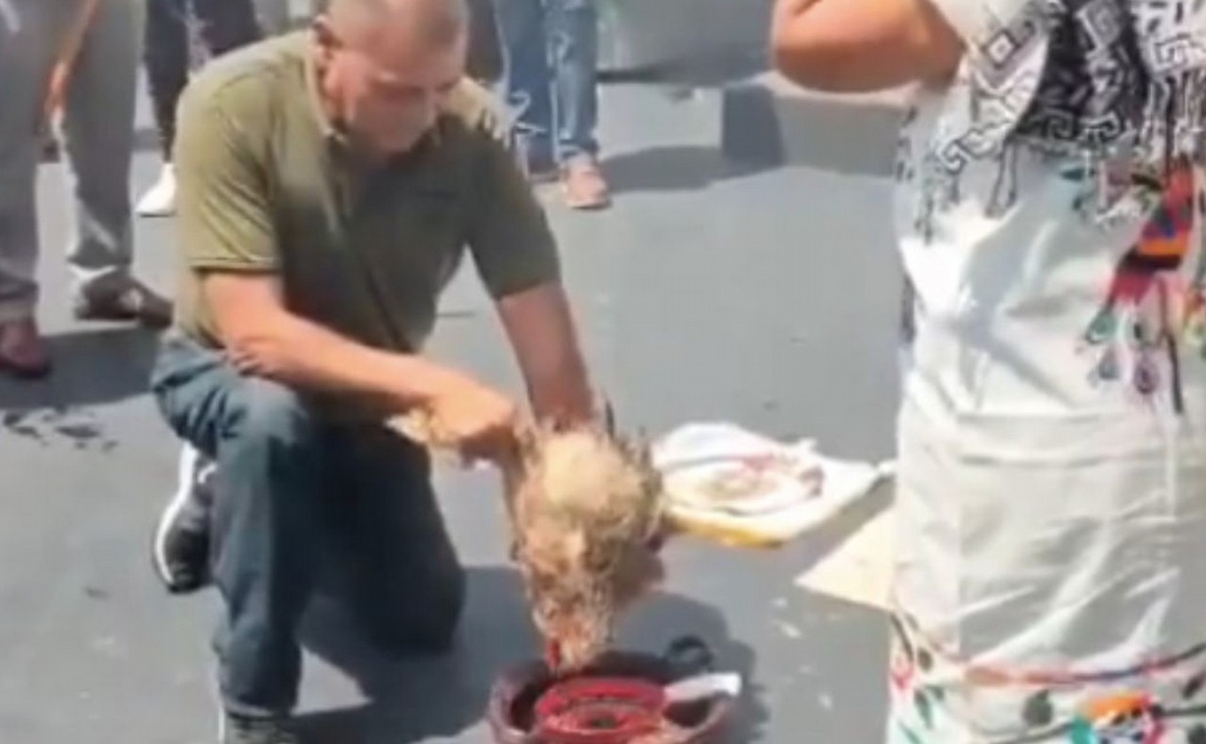 AUDIO: Un senador mexicano sacrificó una gallina y transmitió el ritual por las redes