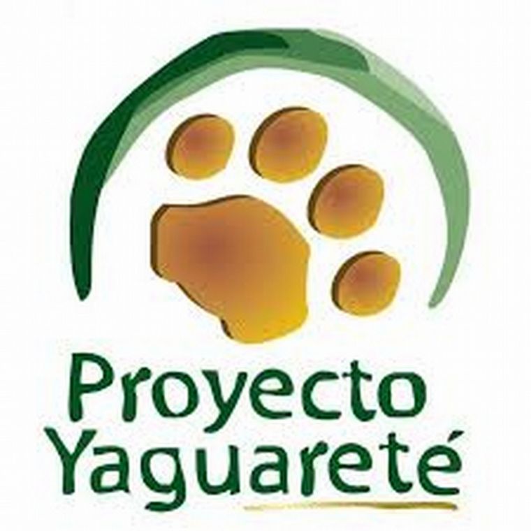 FOTO: Proyecto yaguareté: en búsqueda de asegurar la conservación de la población