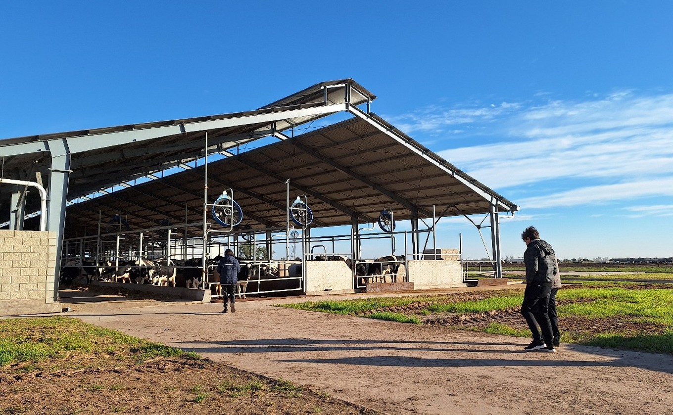 FOTO: Manfrey, polo de producción en Freyre. (Foto: Marcelo Cáceres/Cadena 3)