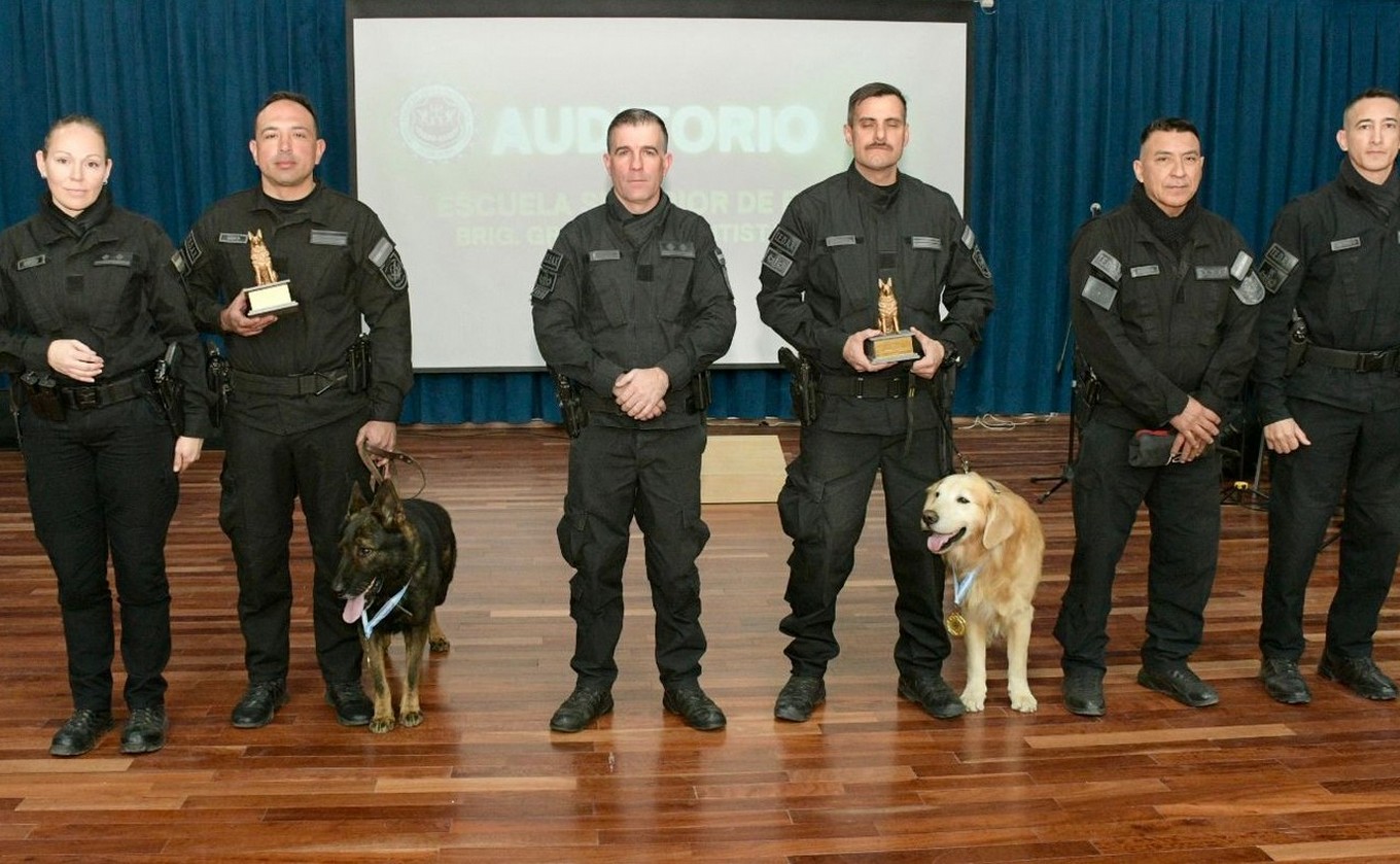FOTO: Tango (ovejero alemán) y Valtro (golden retriever). (Foto: Policía de Córdoba)