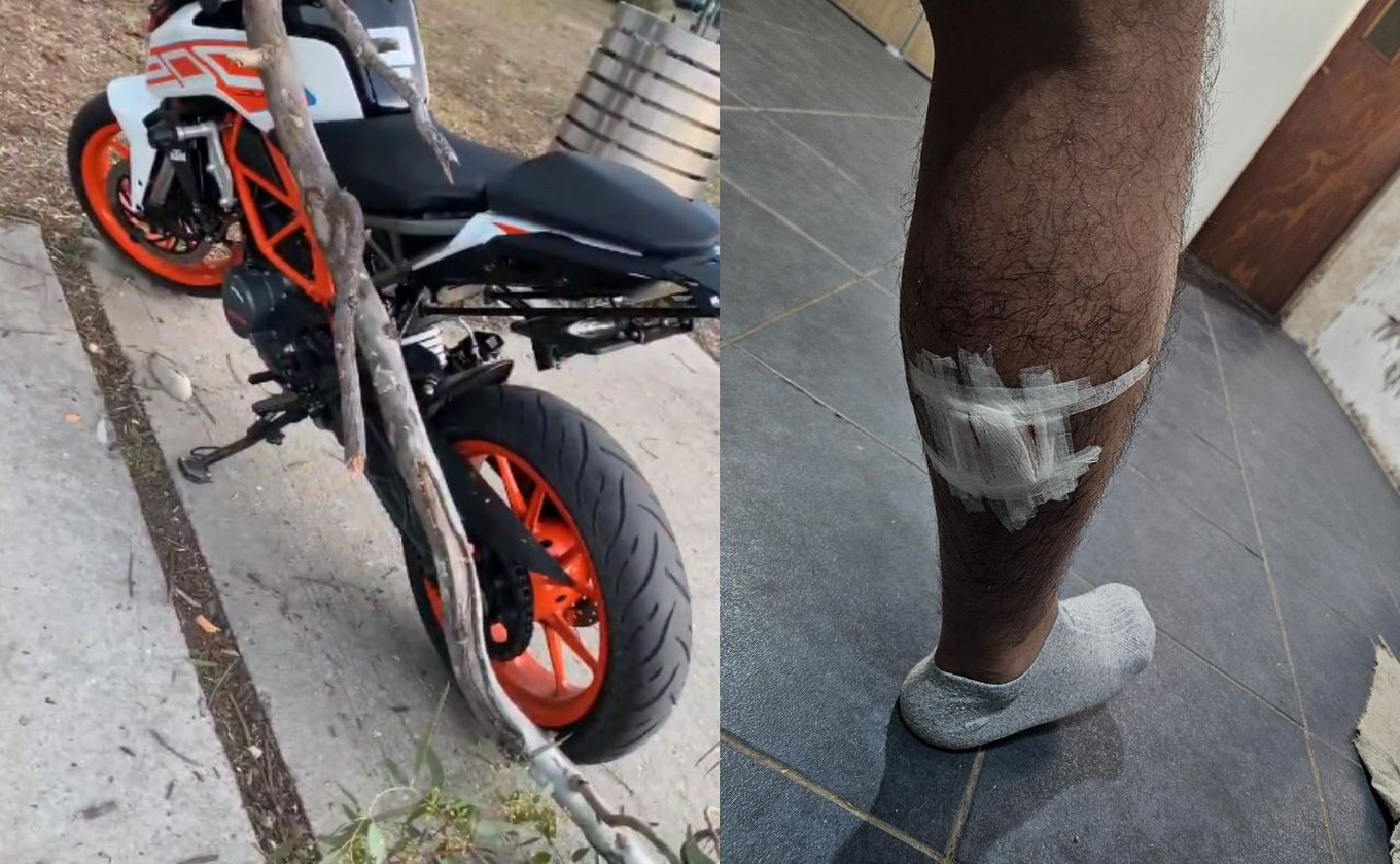 AUDIO: Tomaba mates en Rosario y le cayó una rama: quiere enjuiciar al municipio. 