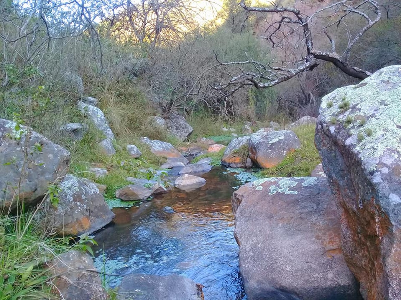 FOTO: Cascada de Los Guindos