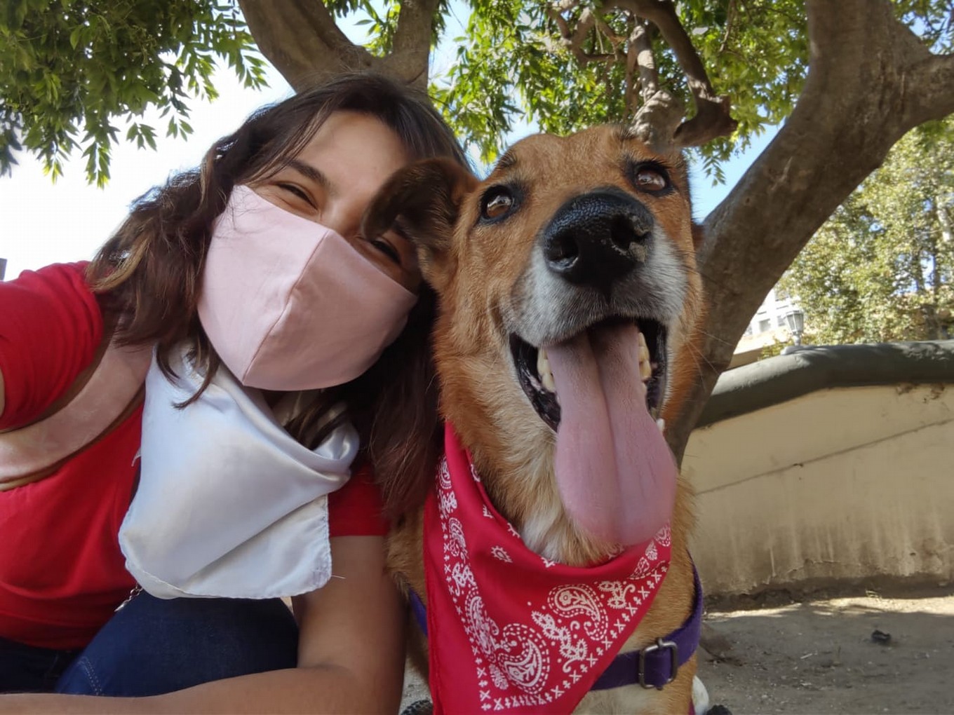 FOTO: Discas es una organización que trabaja con animales con discapacidad