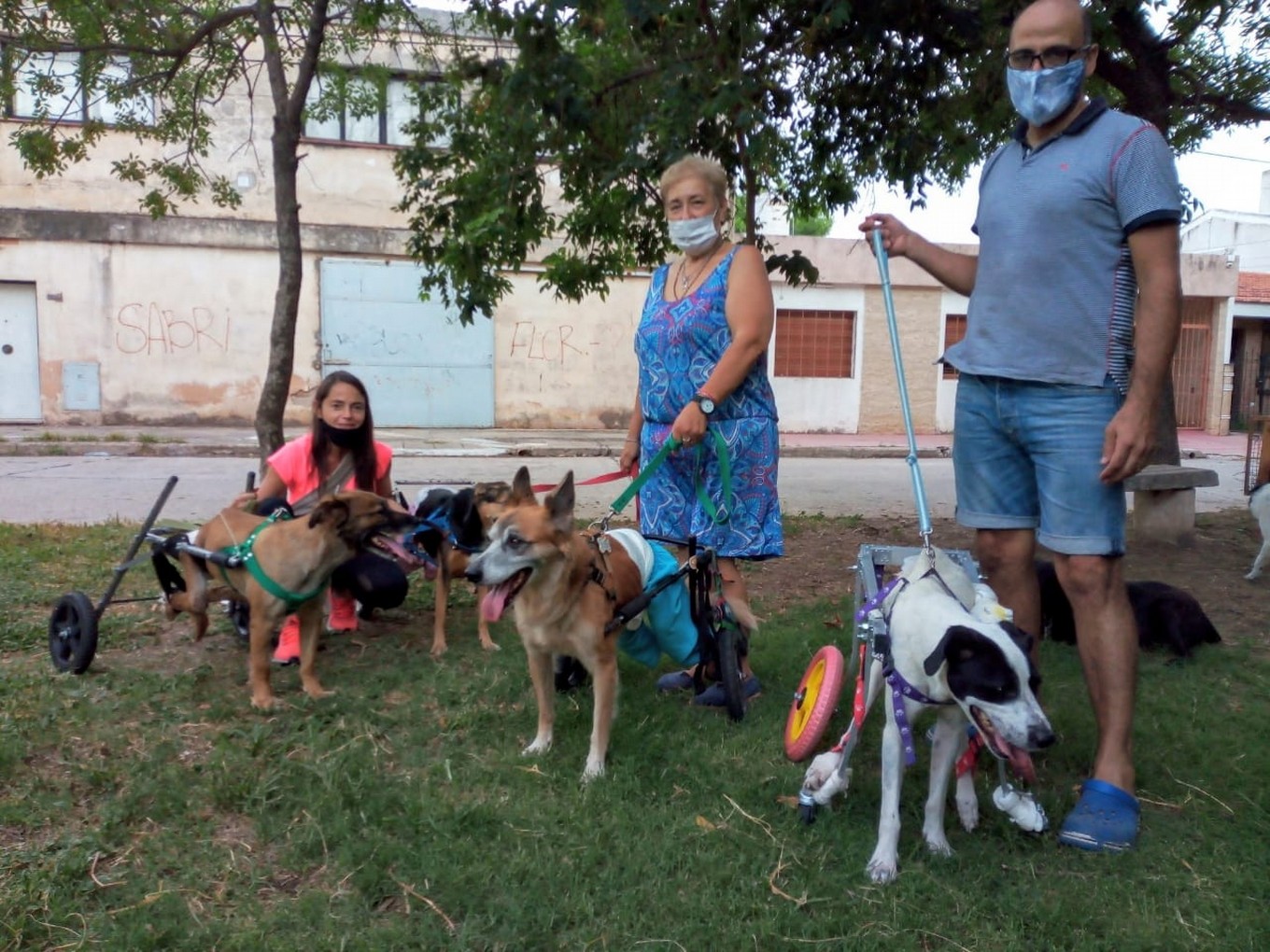 FOTO: Piru es uno de los "discas" en adopción