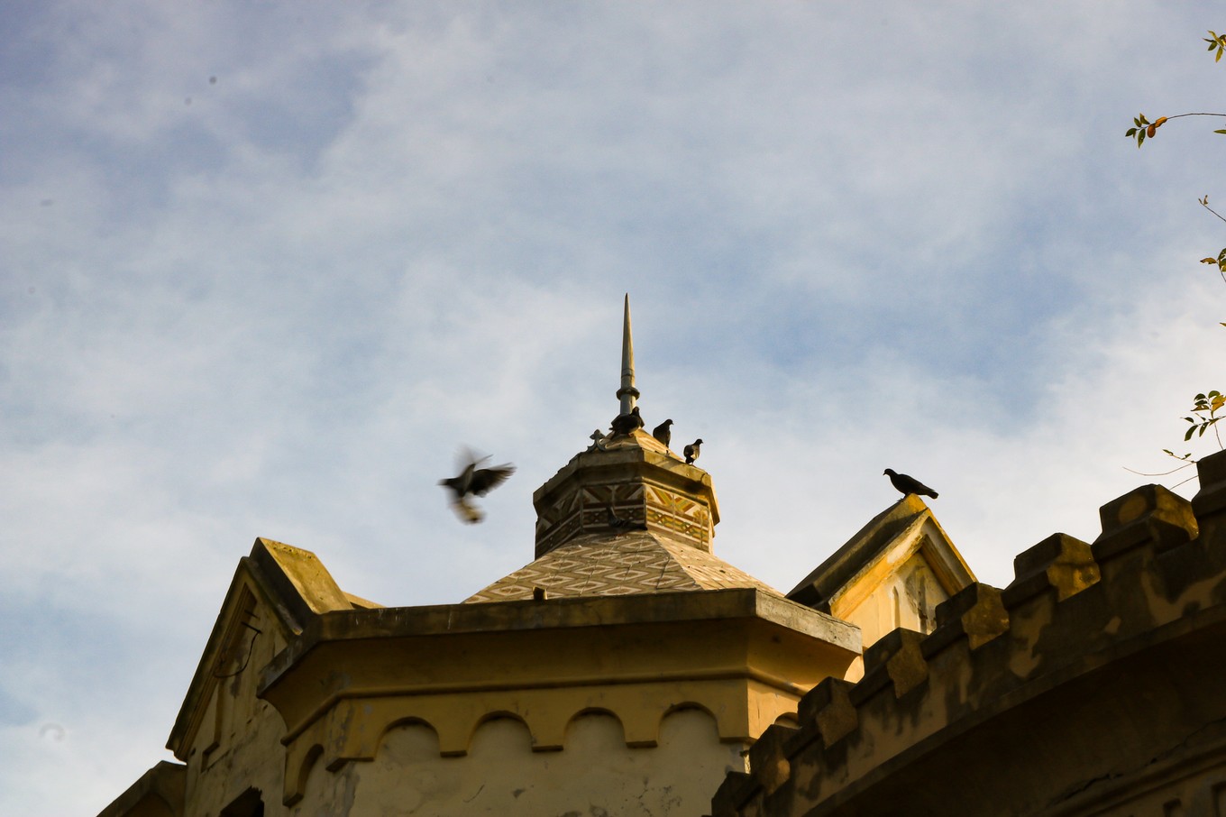 FOTO: Castillo La Agustina