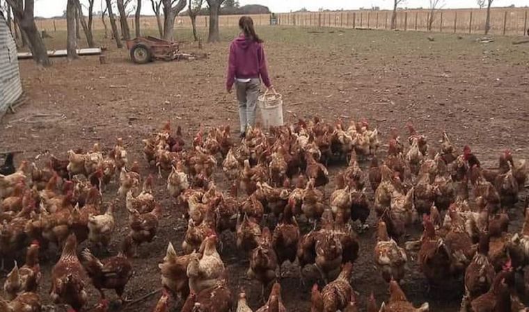 AUDIO: Abril comenzó a criar gallinas en pandemia y hoy tiene 800 aves.