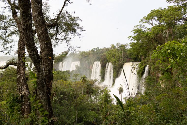 FOTO: Cataratas de Iguazú