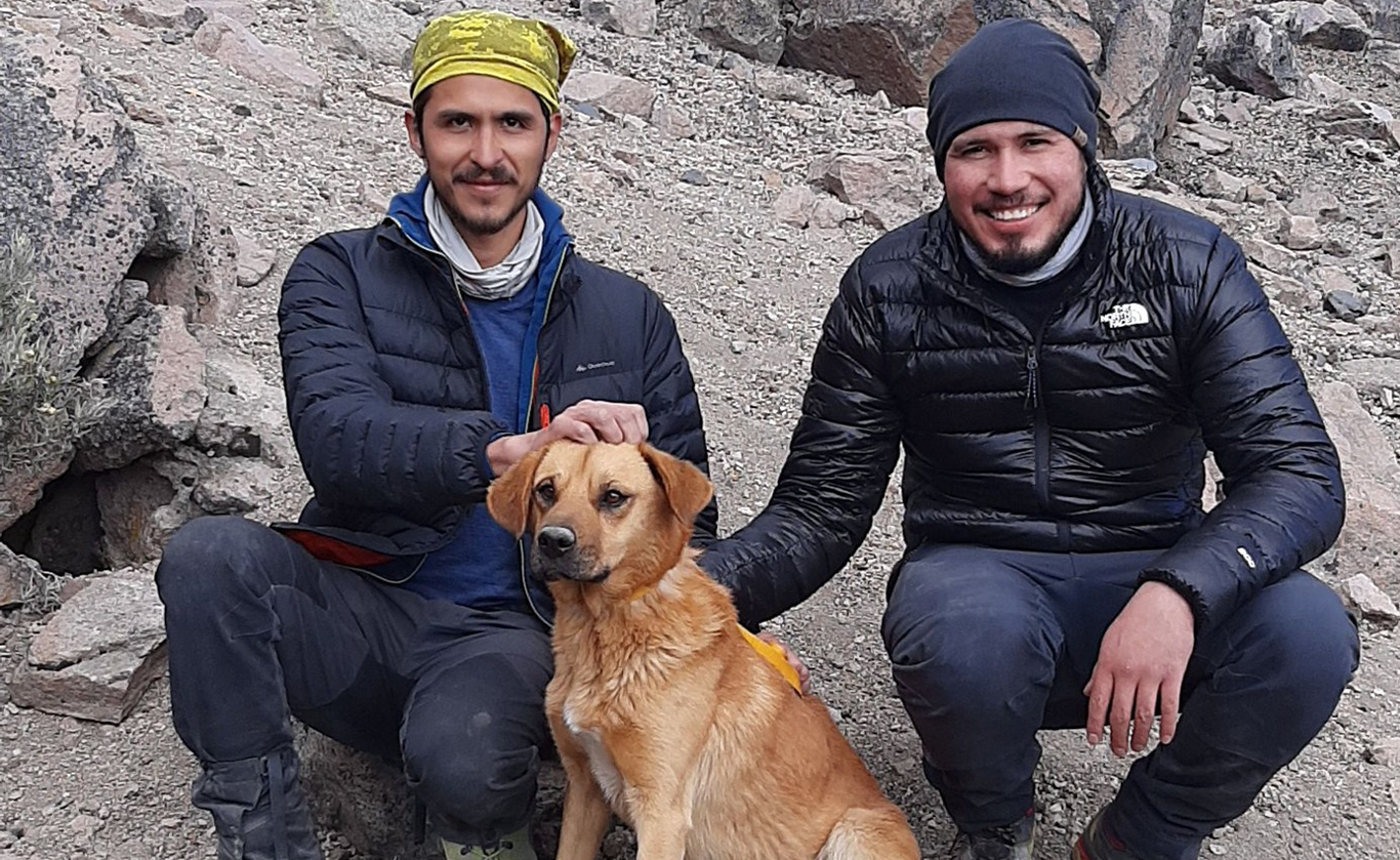 FOTO: Canelo, el perro que sobrevivió un mes en la montaña más alta de México.