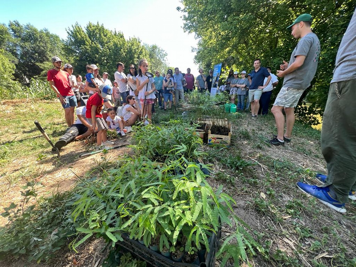 FOTO: Cadena 3 y Baum ya plantaron más de 3.000 árboles. (Foto: archivo)