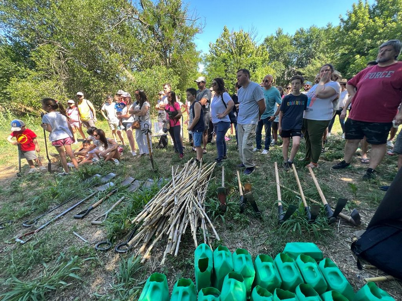 FOTO: Cadena 3 y Baum ya plantaron más de 3.000 árboles. (Foto: archivo)