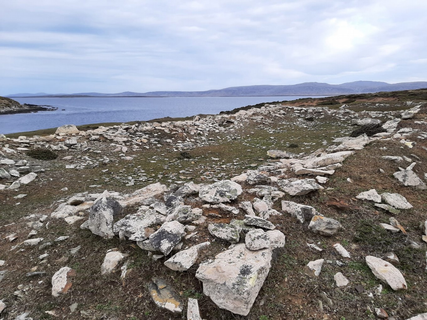 Así empieza el libro sobre las Islas Malvinas de Alejandra Conti y 