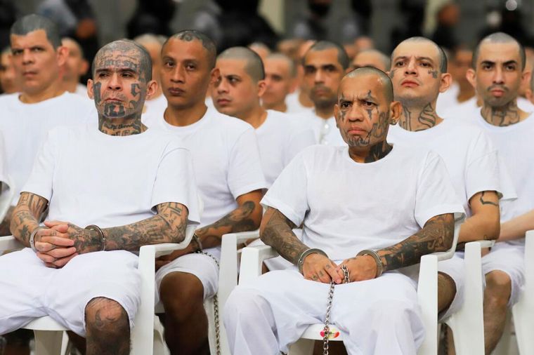 Lucha contra el crimen